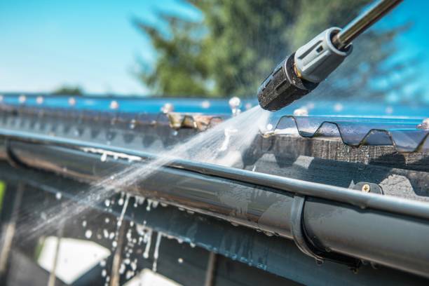 Best Roof Pressure Washing  in Freeport, FL