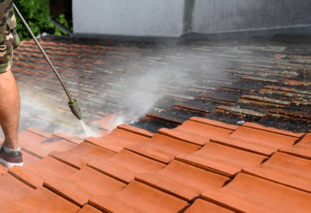 Best Power Washing Near Me  in Freeport, FL